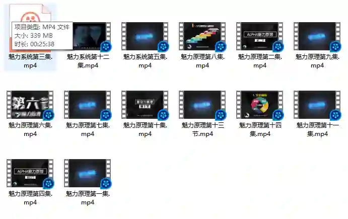 柯李思Chris良叔《魅力原理》实战指南｜限时揭秘专属魅力公式-知行情感社