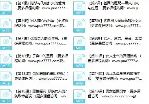 甄琦学长《成功男人的情感刚需》实战指南|限时揭秘专属情感升级方案-知行情感社