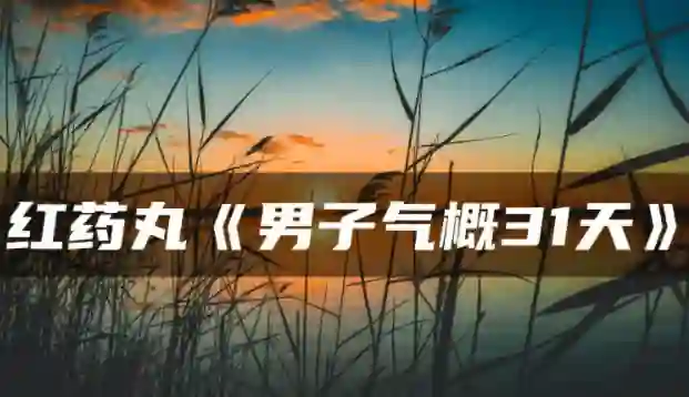红色药丸《男子气概31天》实战指南：限时揭秘专属成长路径-知行情感社