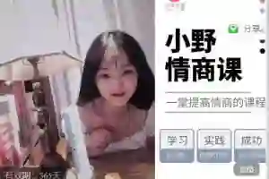 七分学堂《导师案例课:小白0基础实战指南》-知行情感社