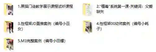 黑猫门徒核心课实战指南:限时揭秘专属成长路径-知行情感社