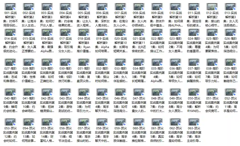 瑞恩自然之道Plus实战指南｜价值12800元专属揭秘版【完结】-知行情感社