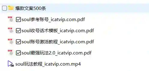 Soul最新玩法实战指南:500条爆款文案限时揭秘-知行情感社