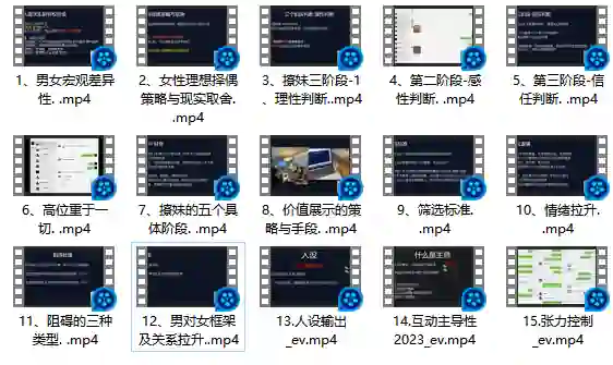 Leon情感5.0实战指南：限时揭秘专属情感提升术-知行情感社