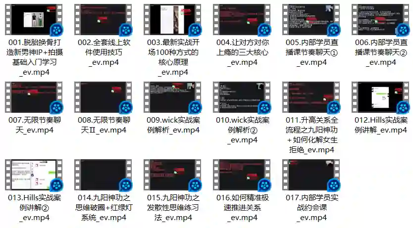 W情感追爱自由训练营实战指南:揭秘高效脱单方法-知行情感社