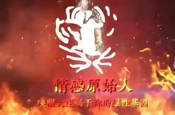 图片[1]-火种情感《情感原始人》实战指南：揭秘原始吸引力法则-知行情感社